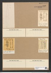 Plagiogramma costatum Grev. (de-Toni-Nr.: Genus 83, Species 2932) Zeichnungen Sammlung Grunow Nr. 5926 (NHMW-BOT-W0374391)